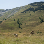 Huez Bike Hire