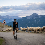 Huez Bike Hire